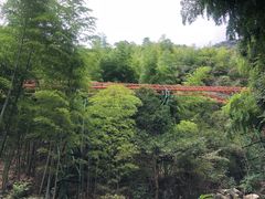 -藏龙百瀑风景区