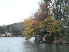 -白马涧龙池景区