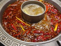 -杨肥肠火锅大排档(火车站花园店)