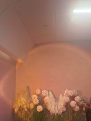 -Hi Beauty Skin 科技美肤中心