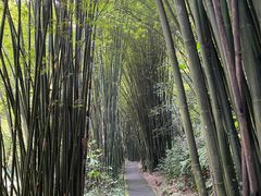 -四洞沟景区