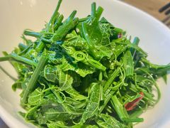 炝拌龙须菜-東舍食唐精品陕菜馆