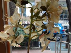 -金枝玉叶上海人家食府(三里河店)