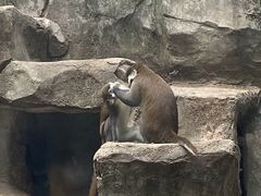 -南昌动物园