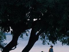 -西昌邛海湾柏樾酒店(原邛海湾柏栎度假酒店)