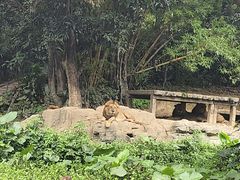 -广州长隆野生动物世界