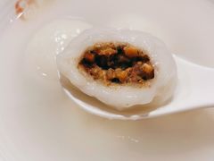 -海丝金凤(金鱼店)