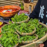 上海也能实现豌豆尖自由了！还有超好吃的春鸡脚♥️