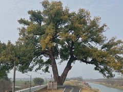 -乌龙涧铁道铁轨景