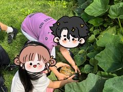 -小风车金桥丽都幼儿园(金桥店)