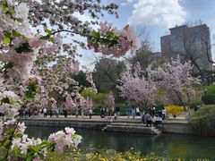 -元大都城垣遗址公园
