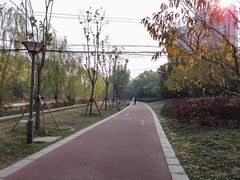 -南长河公园