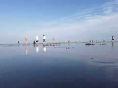 -南汇嘴观海公园