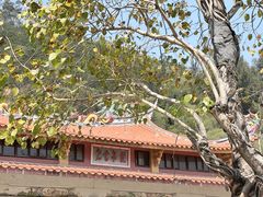 -草庵摩尼教遗址公园