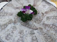 虾生-官塘陈记鱼生·潮汕砂锅粥·牛肉火锅(潮枫路总店)