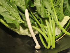 -祥源胡同·涮牛羊肉火锅(花桥店)