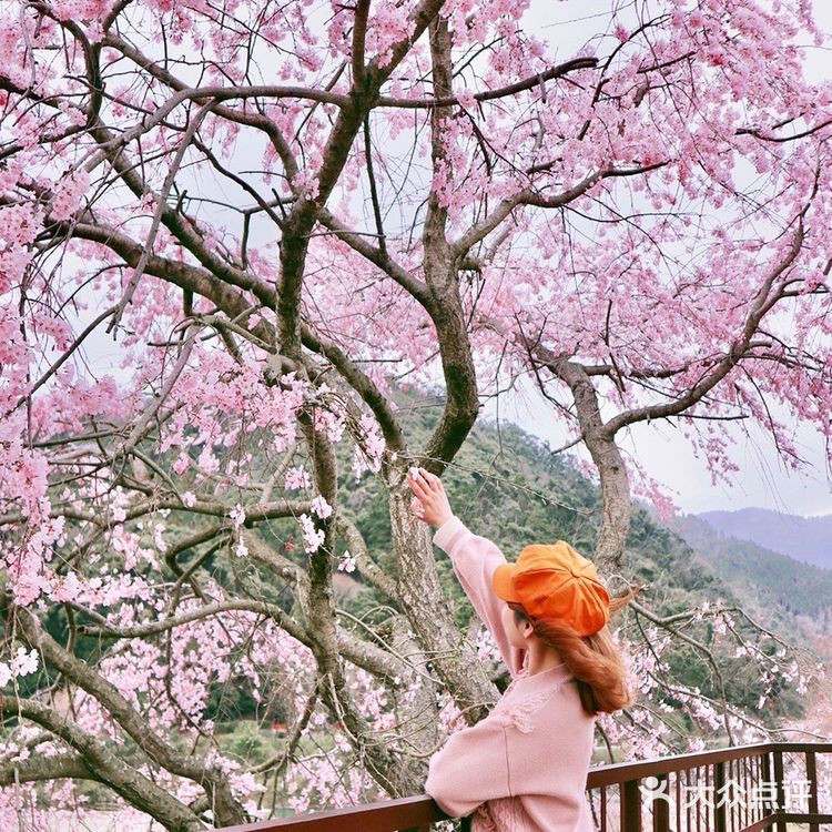 适合女生用的微单相机，拍人拍景太美了吧！