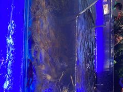 -SEA西雅图海鲜自助餐厅(海乐世界店)