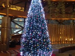 -上海滴水湖皇冠假日酒店