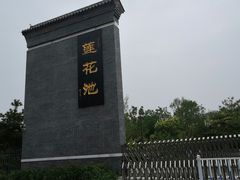 -莲花池公园