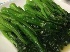 青菜-一笼小幸运