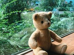 -咖法森林·咖啡  酒吧(天河店)