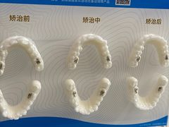 -茂菊口腔连锁(浦东南路店)