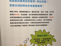 -香港科学馆