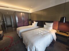 -南京禄口机场雅高铂尔曼大酒店