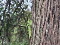 -北京西山国家森林公园