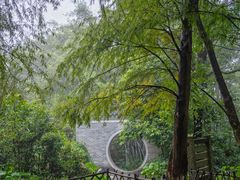 -水濂山森林公园