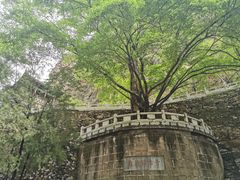-藏山旅游风景区