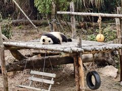 -宁波野生动物园
