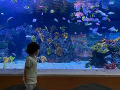 -台州海洋世界