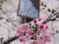 -石湖景区