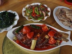 -琼海温泉鹅农家饭店