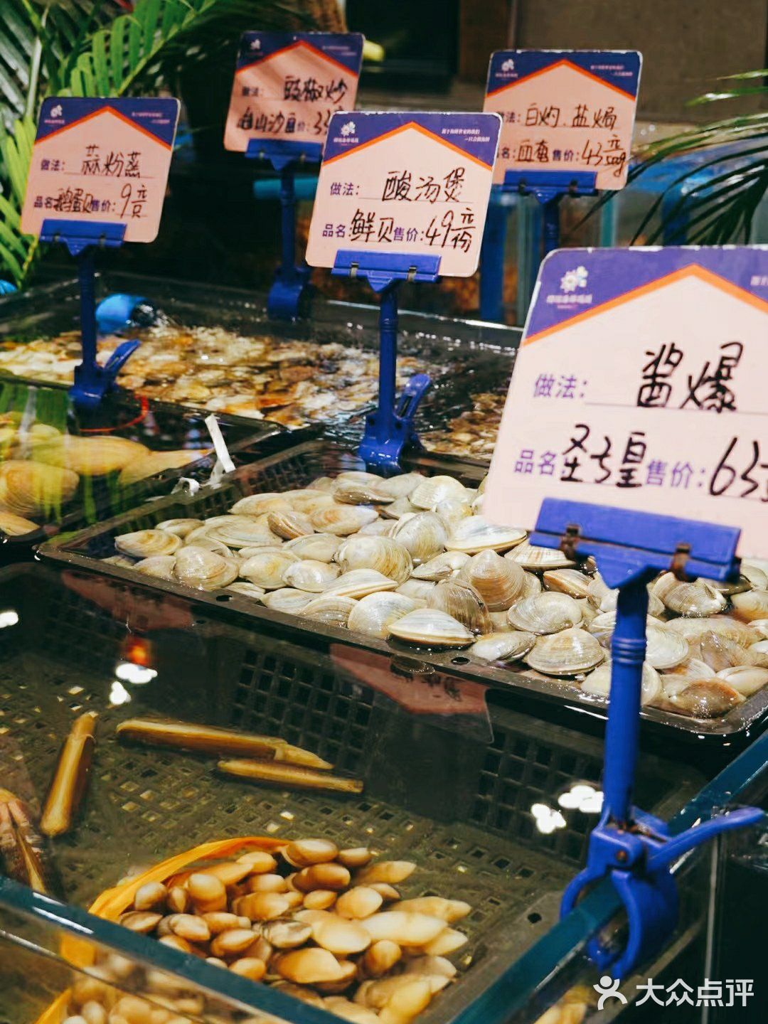在他家可以实现海鲜自由，你心动了吗
