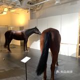魔都探店｜这个未来世界也太酷了吧！快冲！