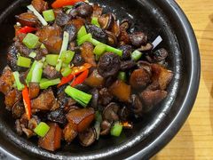 小香菇焖香肘-赤宴·川菜(玉林店)