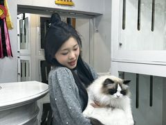 -青奢宠物·青奢猫舍