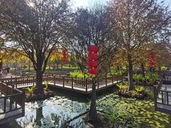 -五缘湾湿地公园
