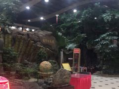 -老山东·山东菜(鲁菜名店)