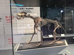 -北京周口店北京人遗址博物馆