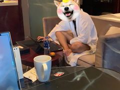 -常州环球恐龙城维景国际大酒店