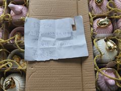 -梅园婚恋·婚姻介绍