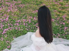 -白鹭湾湿地公园