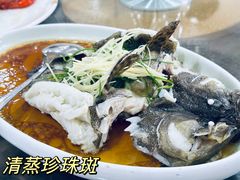 -蚝专家(北滘店)