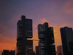 -深圳湾公园(南山区)