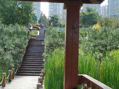 -那考河湿地公园