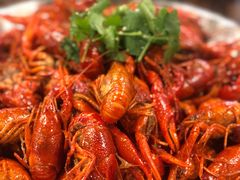 -海岛八号龙虾烧烤田鸡(蓝天路总店)